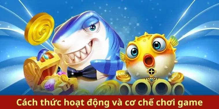 Bắn Cá Royal Fishing 22Bet Bật Mí Bí Kíp Săn Thưởng Cực Đỉnh 1 Bắn Cá Royal Fishing 22Bet Bật Mí Bí Kíp Săn Thưởng Cực Đỉnh
