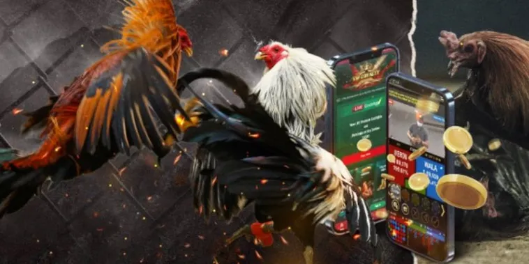 Mẹo Cược Đá Gà GA28 Tại 22Bet Thắng Lớn Mỗi Ngày