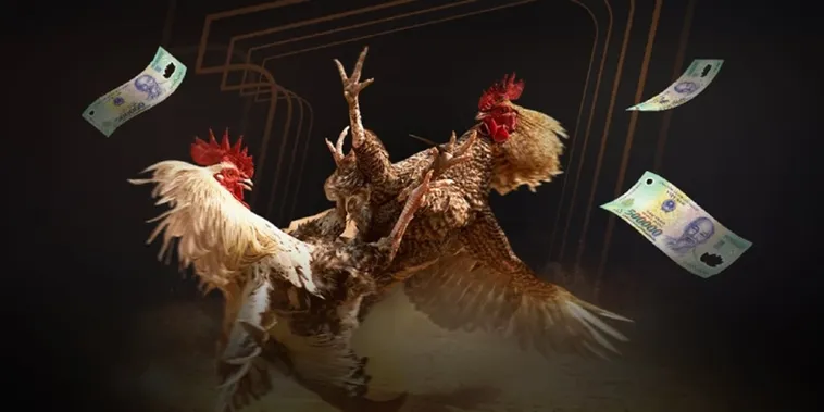 Trực Tiếp Đá Gà 22Bet Thomo Cực Nét Không Giật Lag Hôm Nay