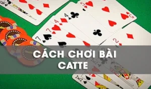 Bí Kíp Chơi Sắc Tê Nhà Cái 22Bet Khiến Đối Thủ Khiếp Sợ